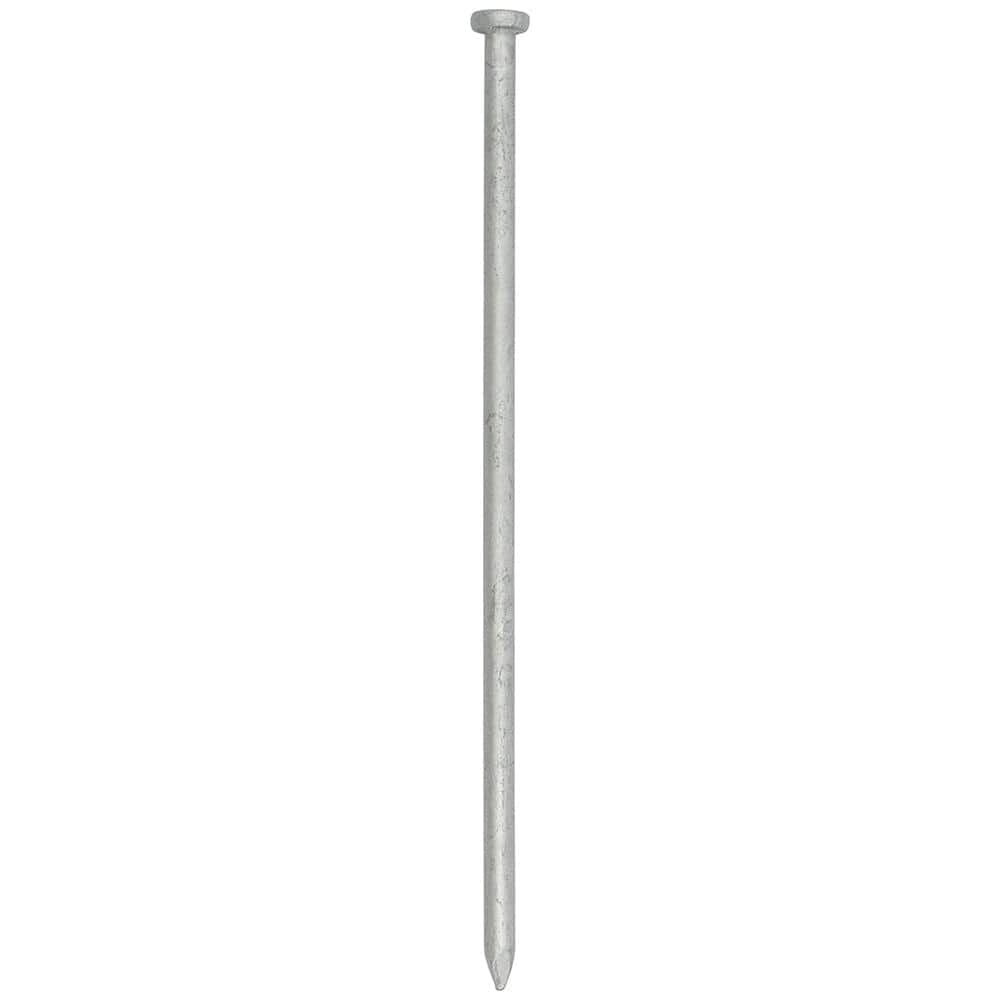 Nail, Tie Down Spike - 11"