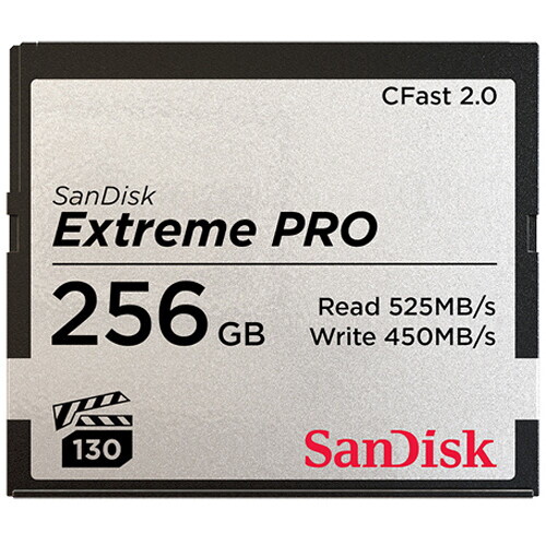 CFast 2.0 256GB Dual Media Card Kit