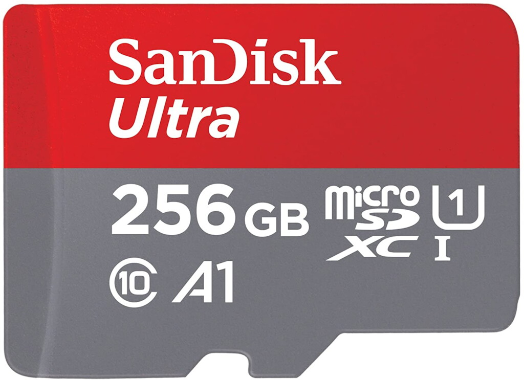 Micro SD Card - 256GB