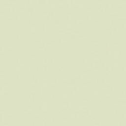 Lee Quarter Plus Green Gel Roll - 4' wide