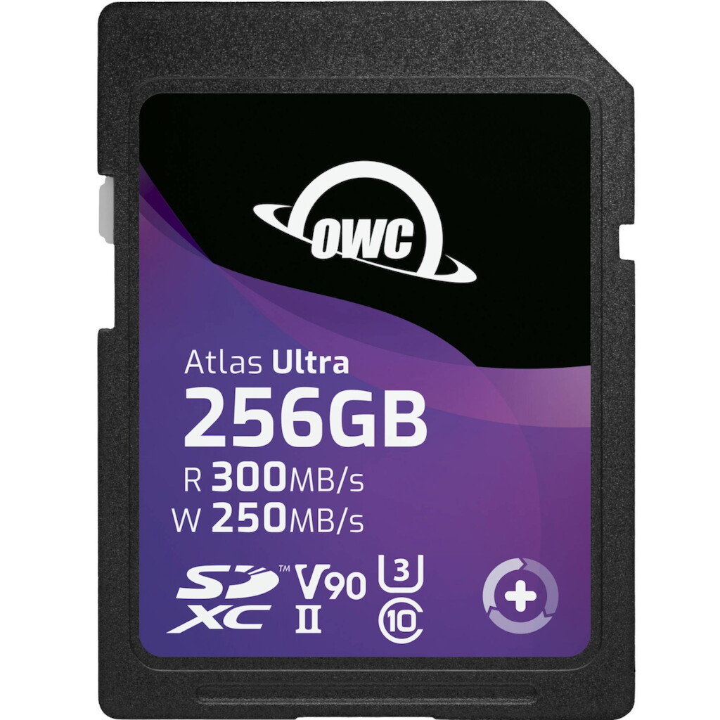 SDXC SD 256GB Dual Media Card Kit