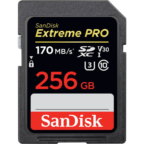 SD Card - 256GB