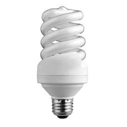 Bulb - Daylight CFL 60 W